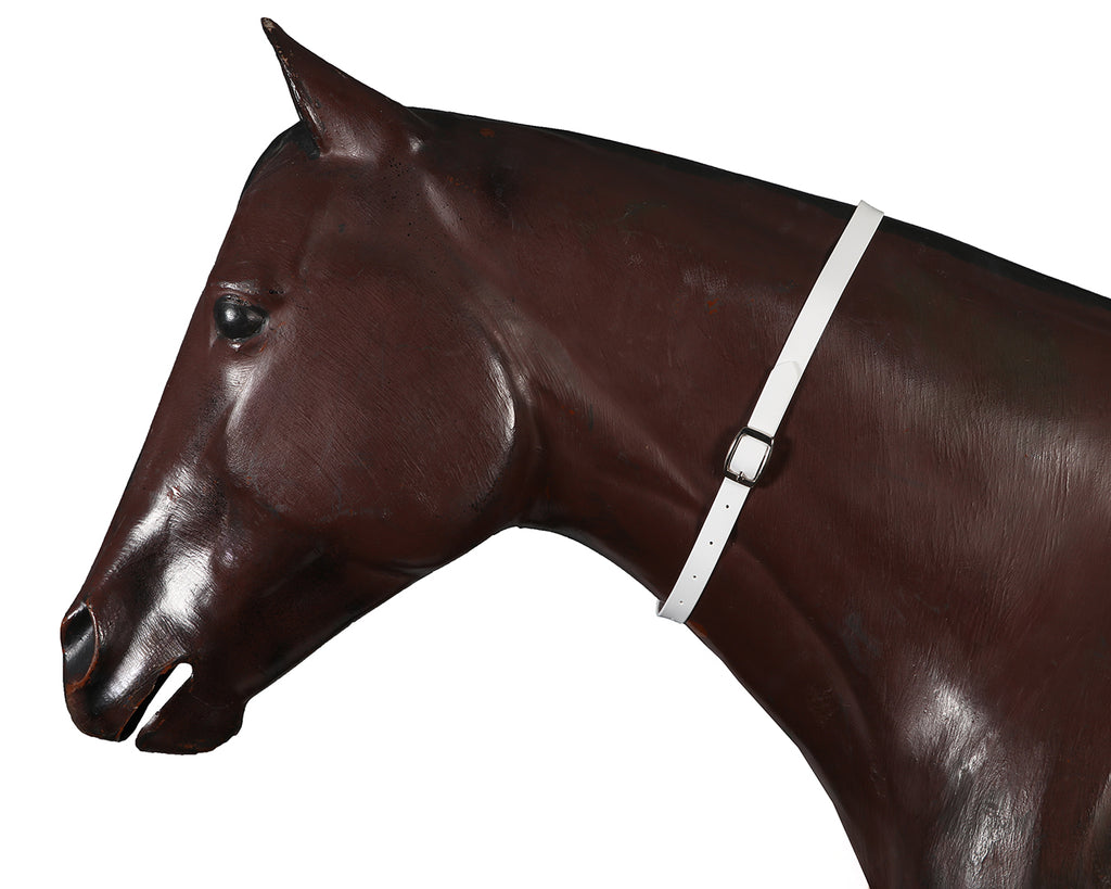 Horse Sense Horse Identity Neck Strap - White