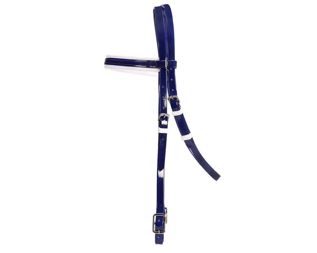 Horse Sense Y-Line Pony Club Bridle Head