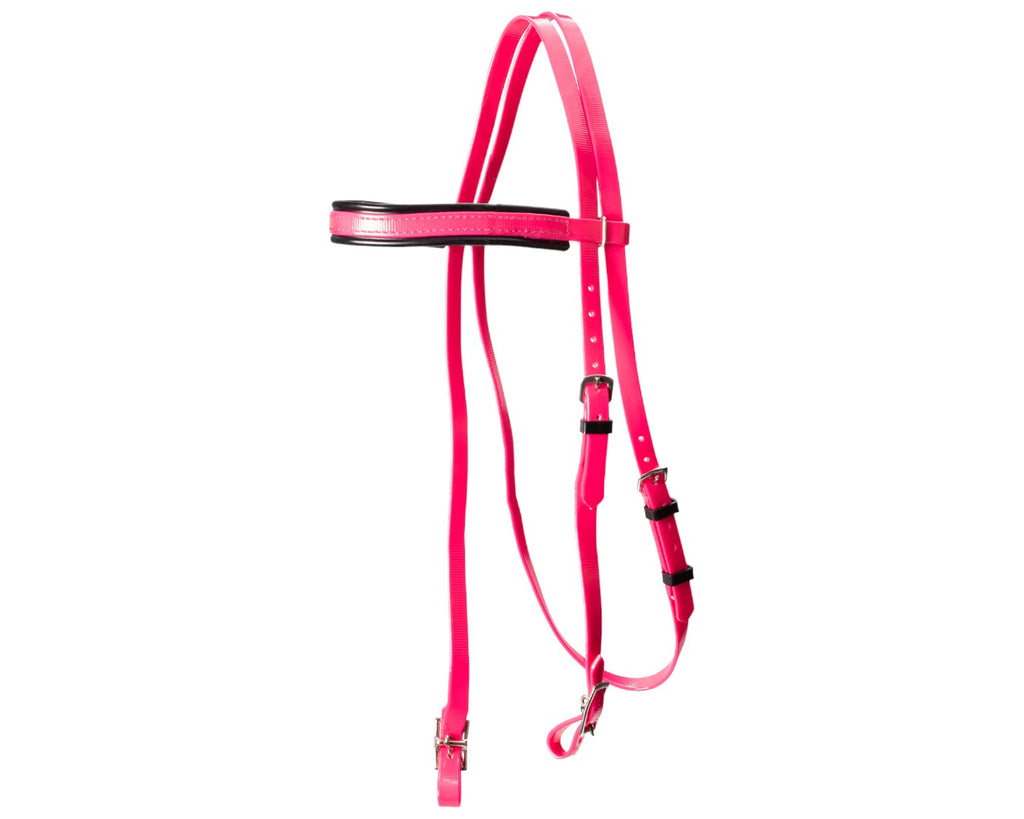 Horse Sense Y-Line Pony Club Bridle Head - Pink/Black