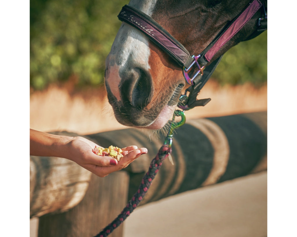 Likit Mint & Eucalyptus Snaks come in a delicious combination of Mint and Eucalyptus and the low sugar formulation means they are suitable for all horses and ponies