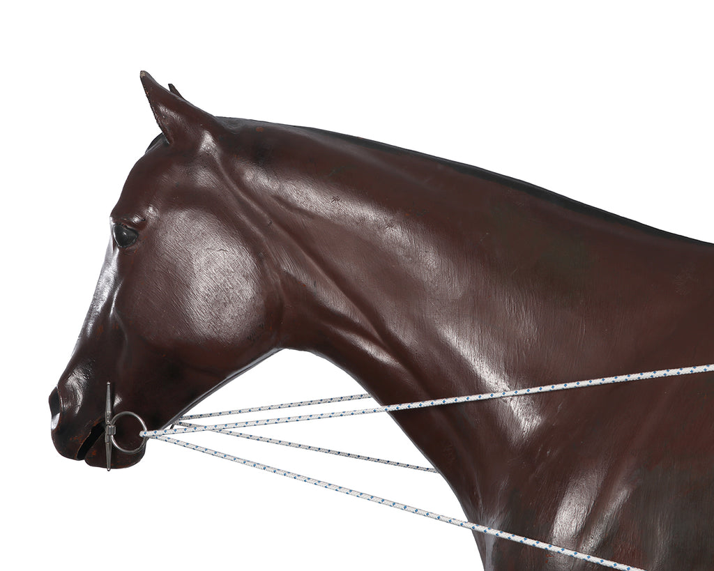 Horsemaster Training System
