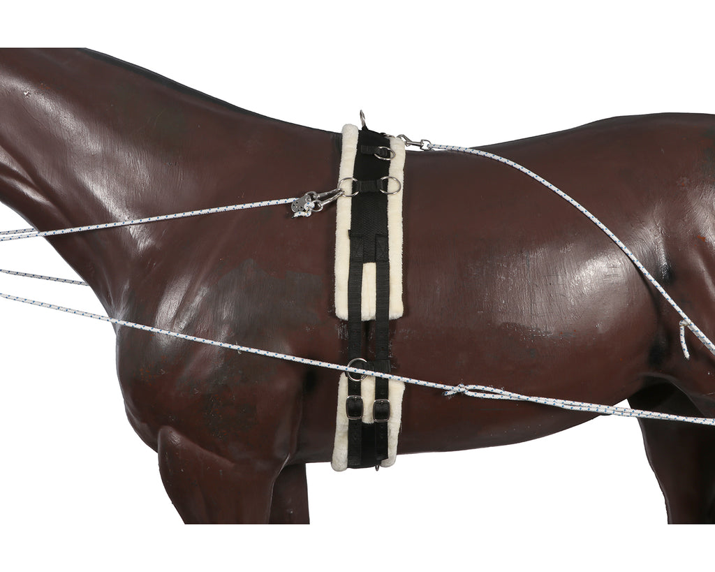 Horsemaster Training System