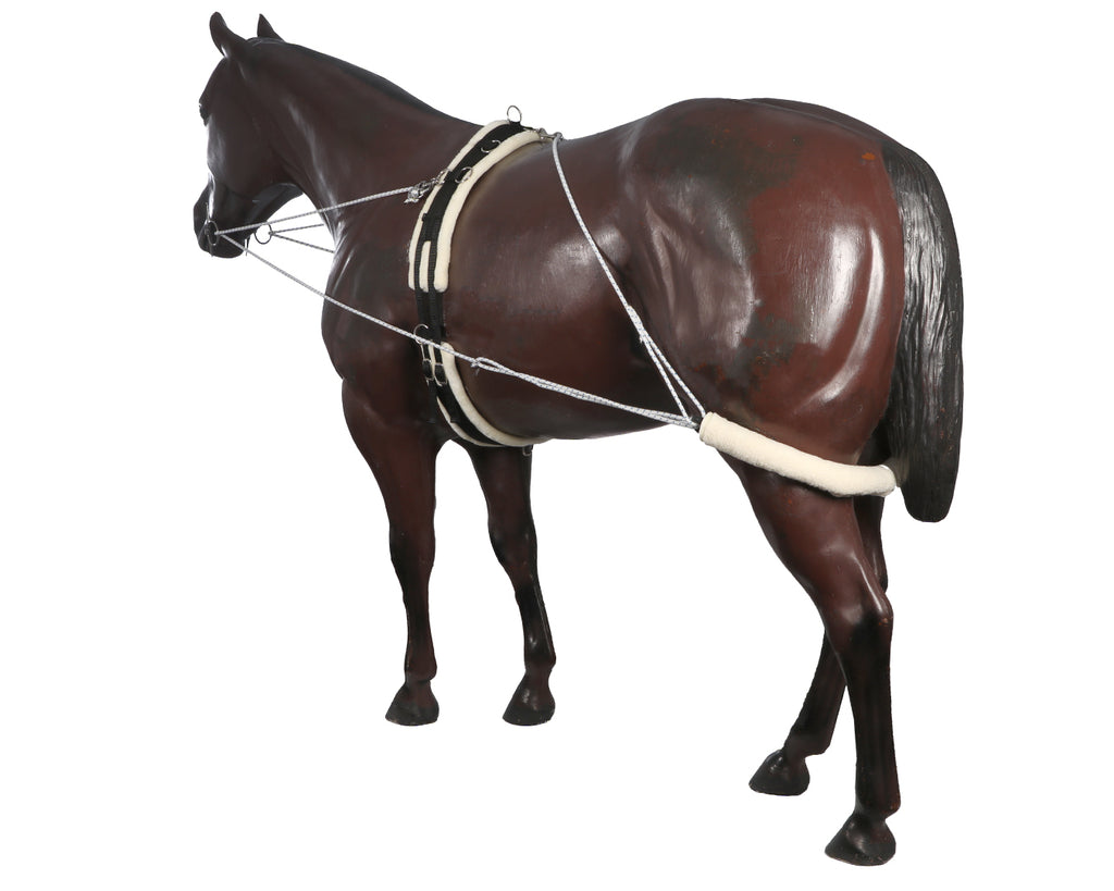 Horsemaster Training System