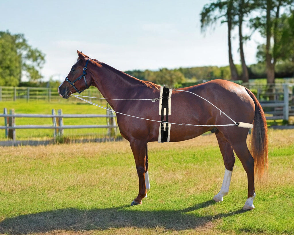 Horsemaster Training System