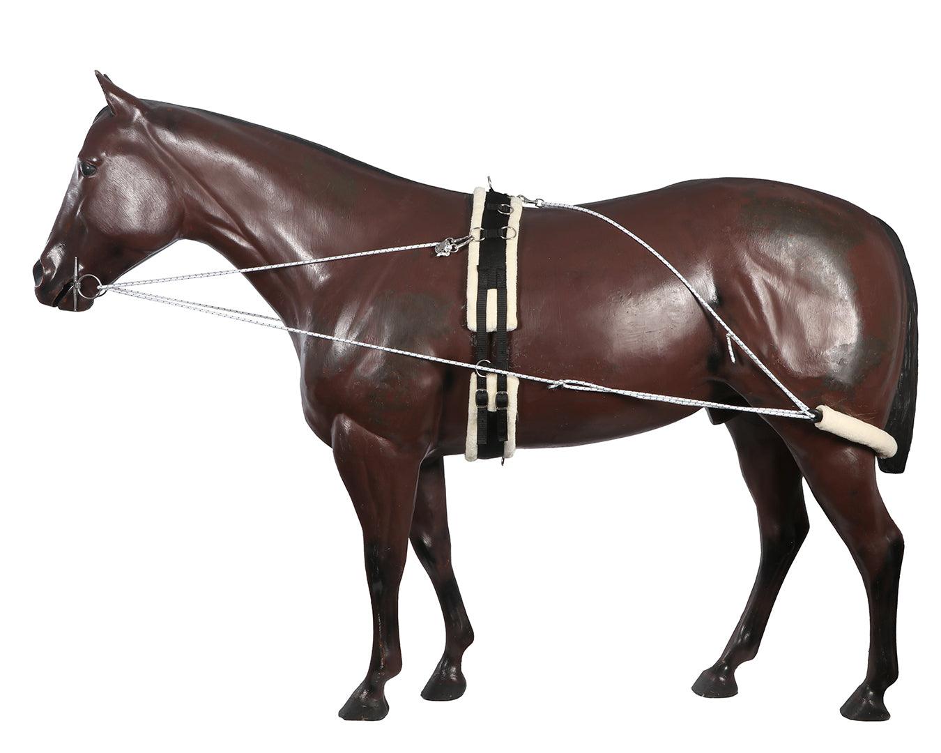 Lungeing as a Training Tool with Amy Millar – Horse Sport Lungeing as a Training Tool with Amy Millar – Horse Sport