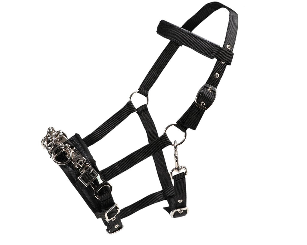 Equi-Prene Anti-Gall Equine Lunging Starter Kit - image showing lunge cavesson