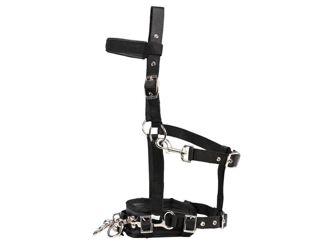 Equi-Prene Anti-Gall Equine Lunging Starter Kit - image showing lunge cavesson side view