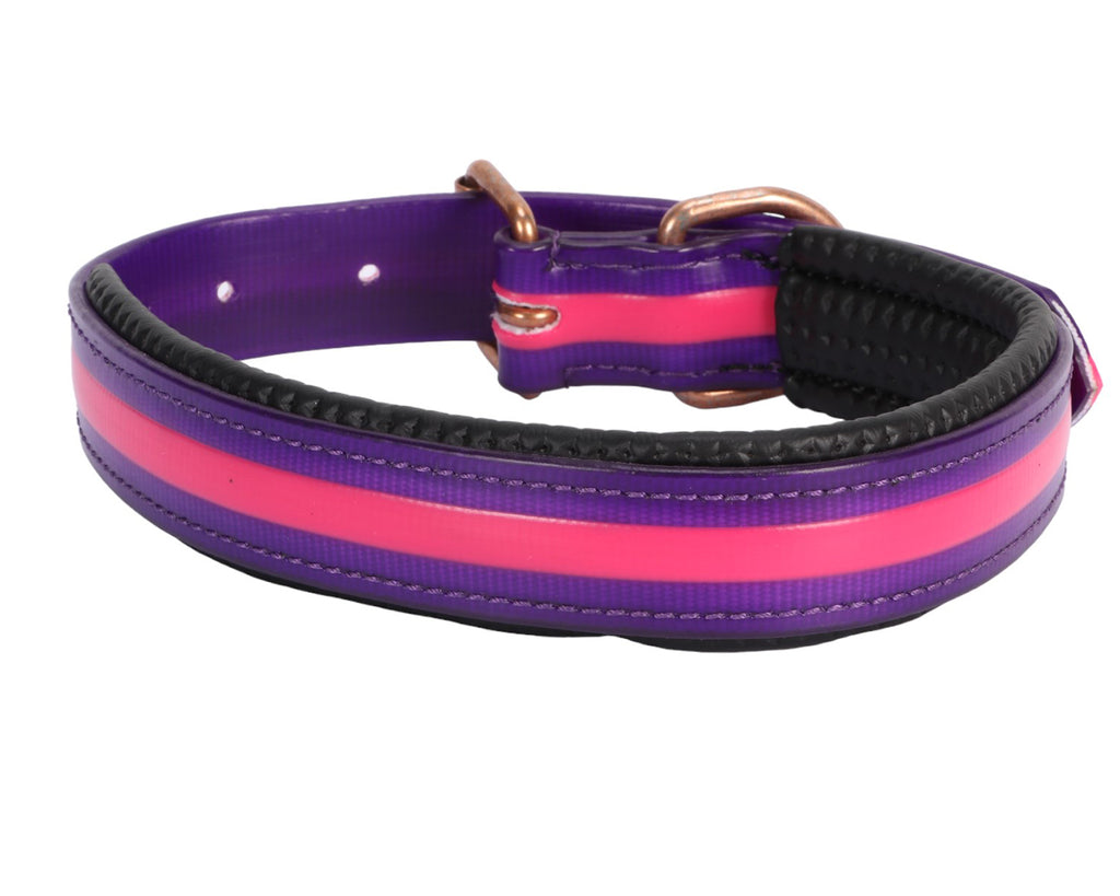 Shop for the Horse Sense Two Tone Dog Collar at Greg Grant Saddlery. Discover the perfect blend of quality and style in this durable collar. With easy maintenance, high-quality materials, and stylish design, your dog will stand out from the crowd. Visit Greg Grant Saddlery and upgrade your dog's look today.
