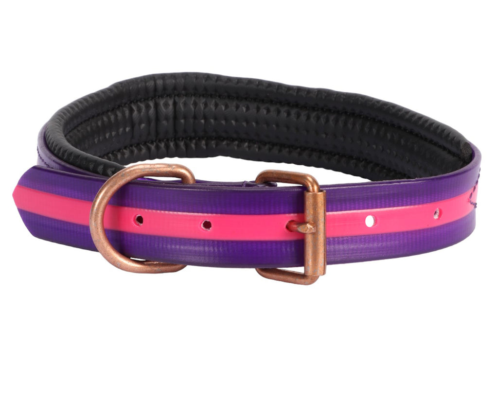 Shop for the Horse Sense Two Tone Dog Collar at Greg Grant Saddlery. Discover the perfect blend of quality and style in this durable collar. With easy maintenance, high-quality materials, and stylish design, your dog will stand out from the crowd. Visit Greg Grant Saddlery and upgrade your dog's look today.
