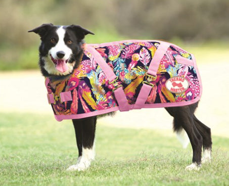 Thermo Master Supreme Dog Coat - Feathers