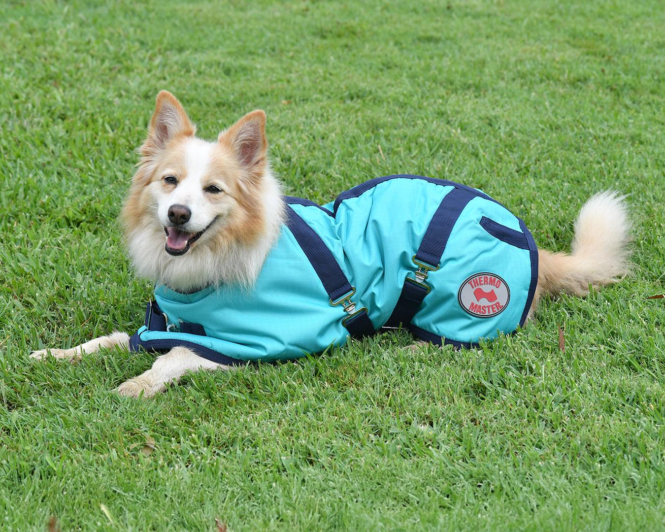 Thermo Master Supreme Dog Coat Teal/Navy – Greg Grant Saddlery