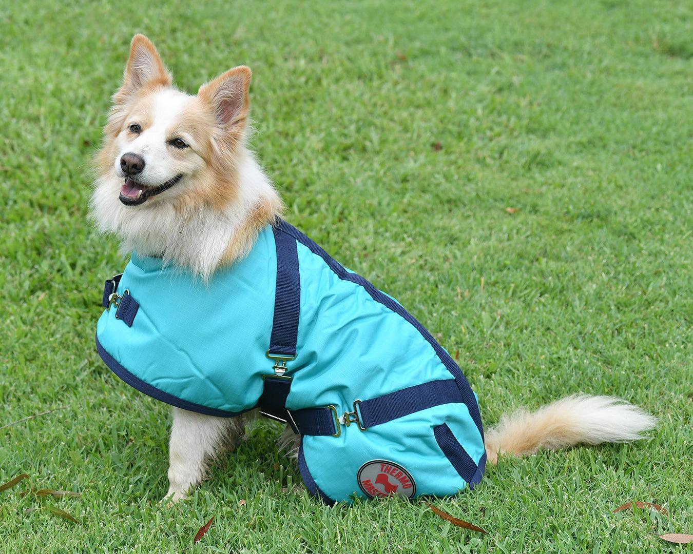 Thermo Master Supreme Dog Coat Teal/Navy – Greg Grant Saddlery