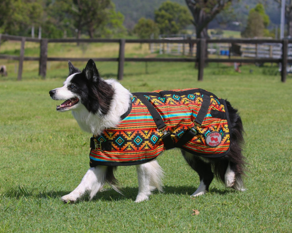Thermo Master Supreme Dog Coat - Nicoma