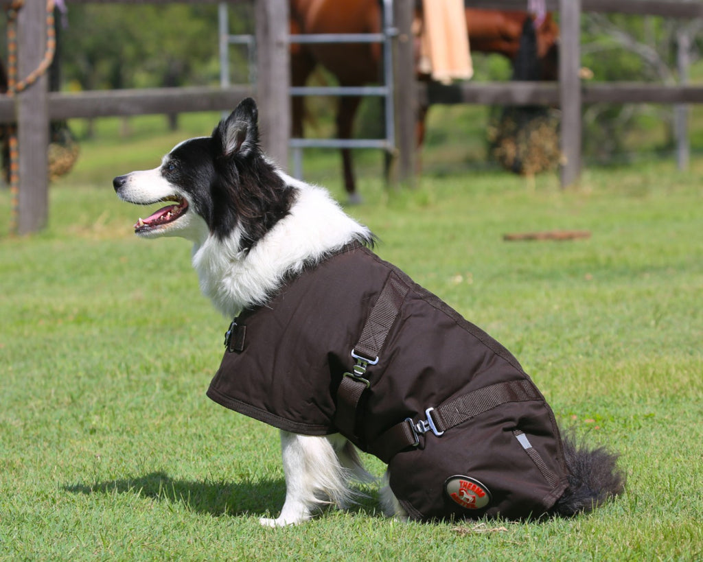 Thermo Master Oilskin Dog Coat - secures at chest and belly