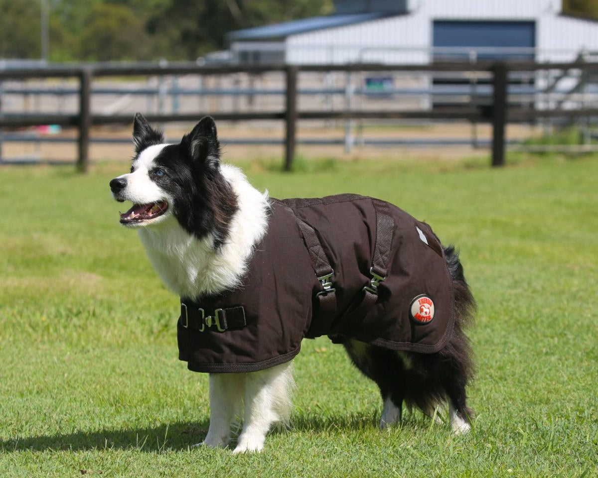 Thermo Master Oilskin Dog Coat Greg Grant Saddlery