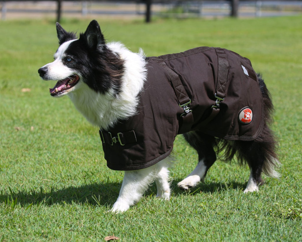Thermo Master Oilskin Dog Coat