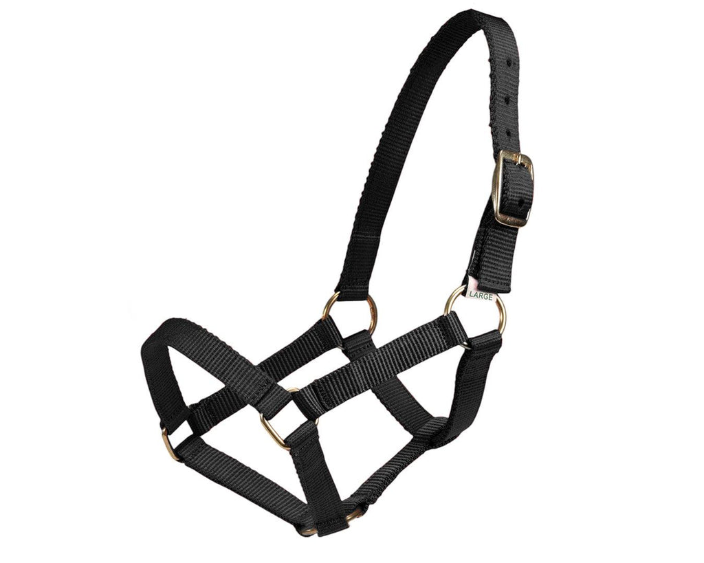 Piccolo Mini Horse PP Halter - Black