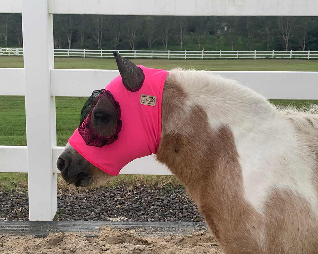 Piccolo Mini Lycra Pull-On Fly Mask in vibrant pink colour