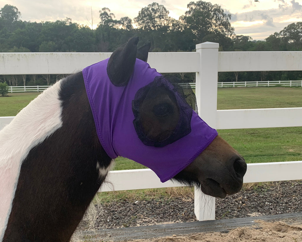 Piccolo Mini Lycra Pull-On Fly Mask Purple