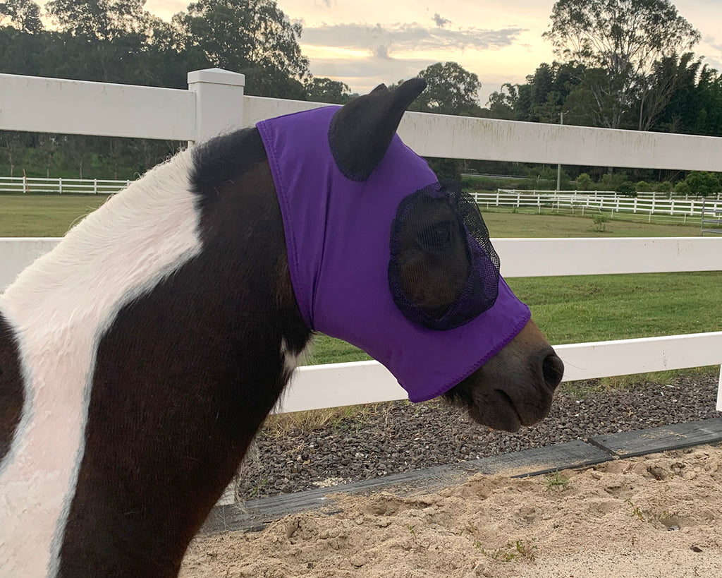 Piccolo Mini Lycra Pull-On Fly Mask for mini horses & ponies in purple