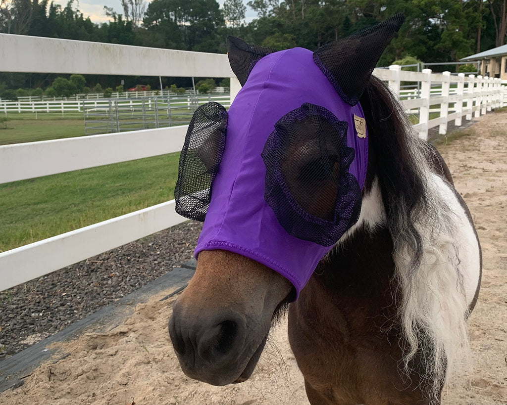 Front view of Piccolo Mini Lycra Pull-on Purple Fly Mask