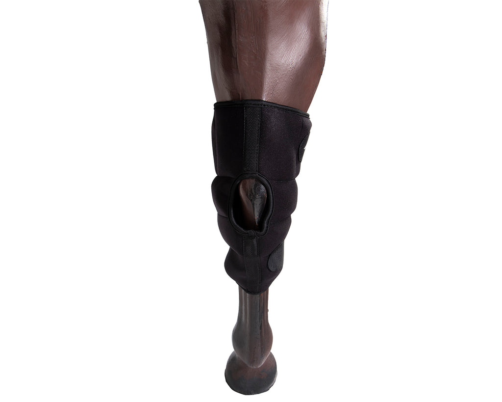 Professional's Choice Hock Ice Boot