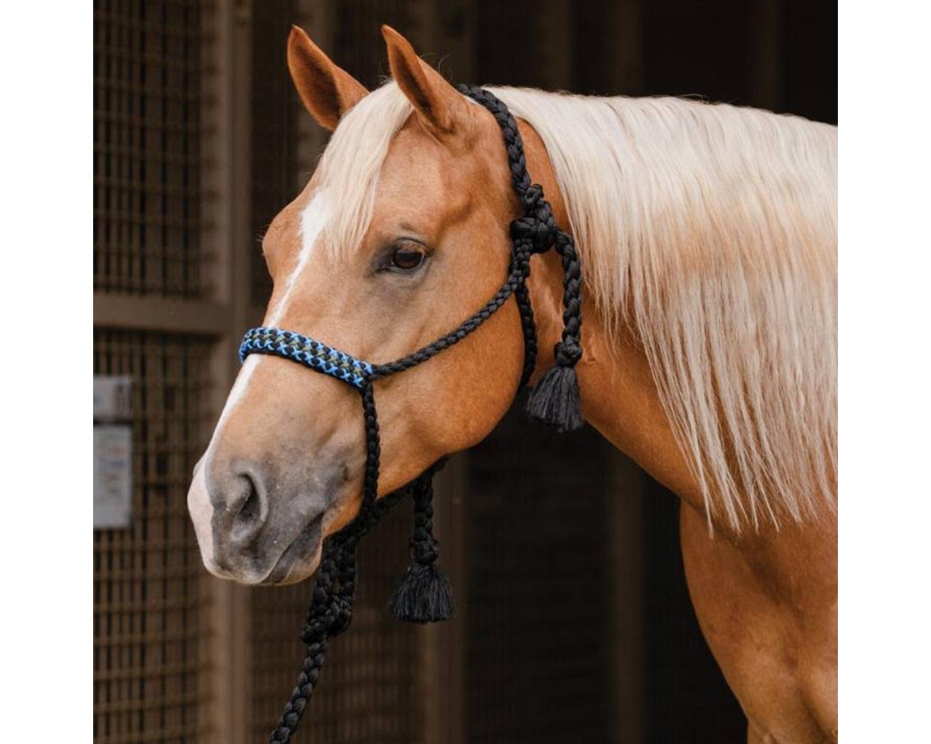 Professional's Choice Cowboy Braided Halter With Lead | Halters & Lead ...