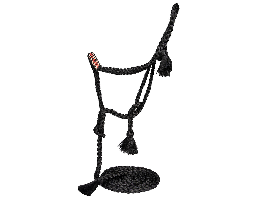 Professional's Choice Cowboy Braided Halter With Lead