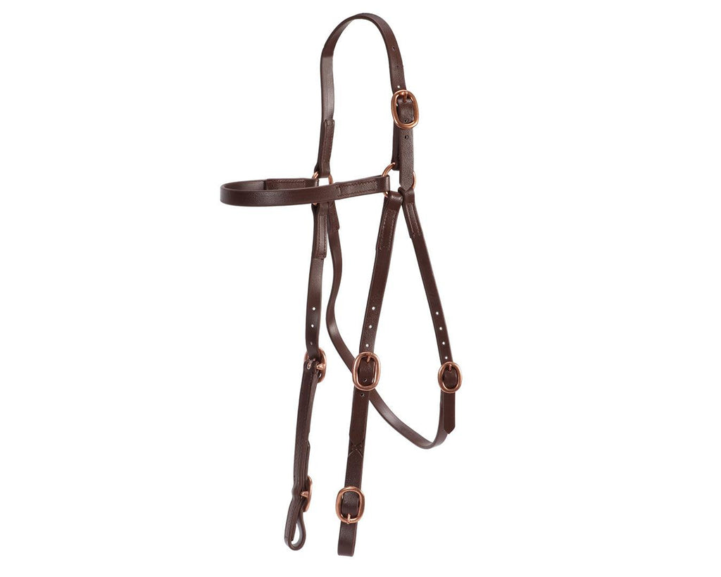 Horse Sense Race Barcoo Bridle
