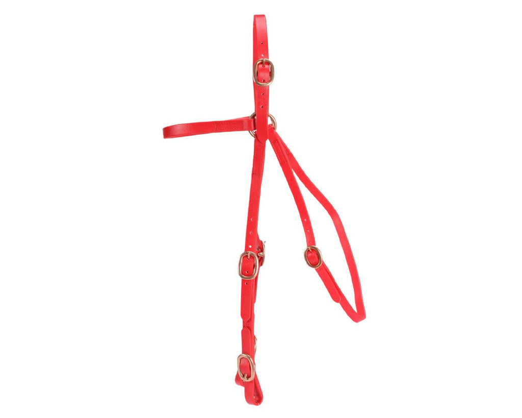 Horse Sense Race Barcoo Bridle