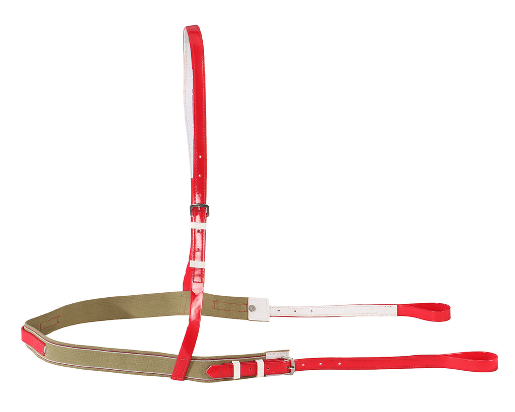 Horse Sense Race Exercise Breastplate