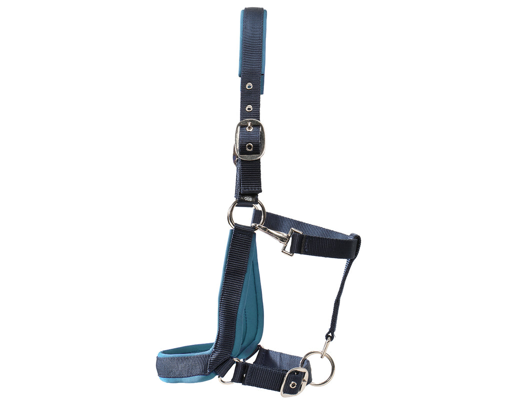 Rancher Neoprene Padded Halter - Navy & Blue