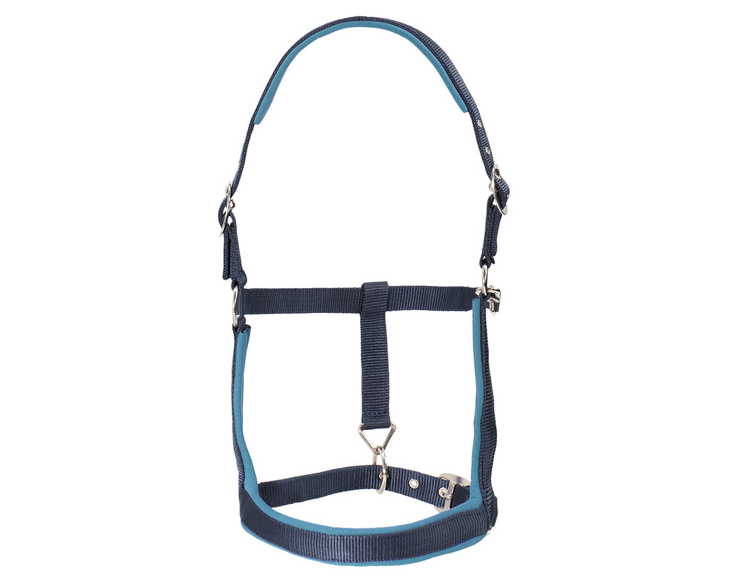 Rancher Neoprene Padded Halter - Navy & Blue