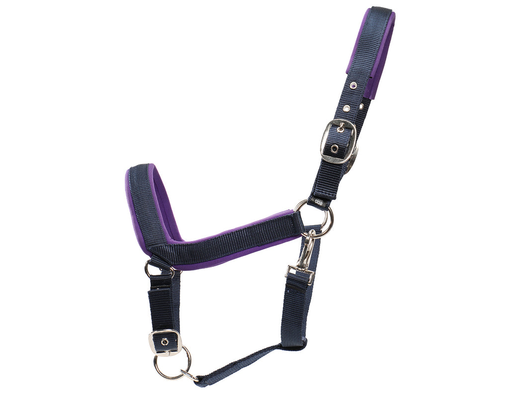 Rancher Neoprene Padded Halter - Navy & Lilac