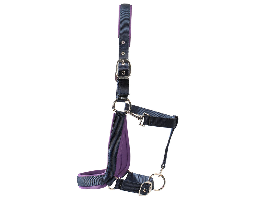 Rancher Neoprene Padded Halter - Navy & Lilac