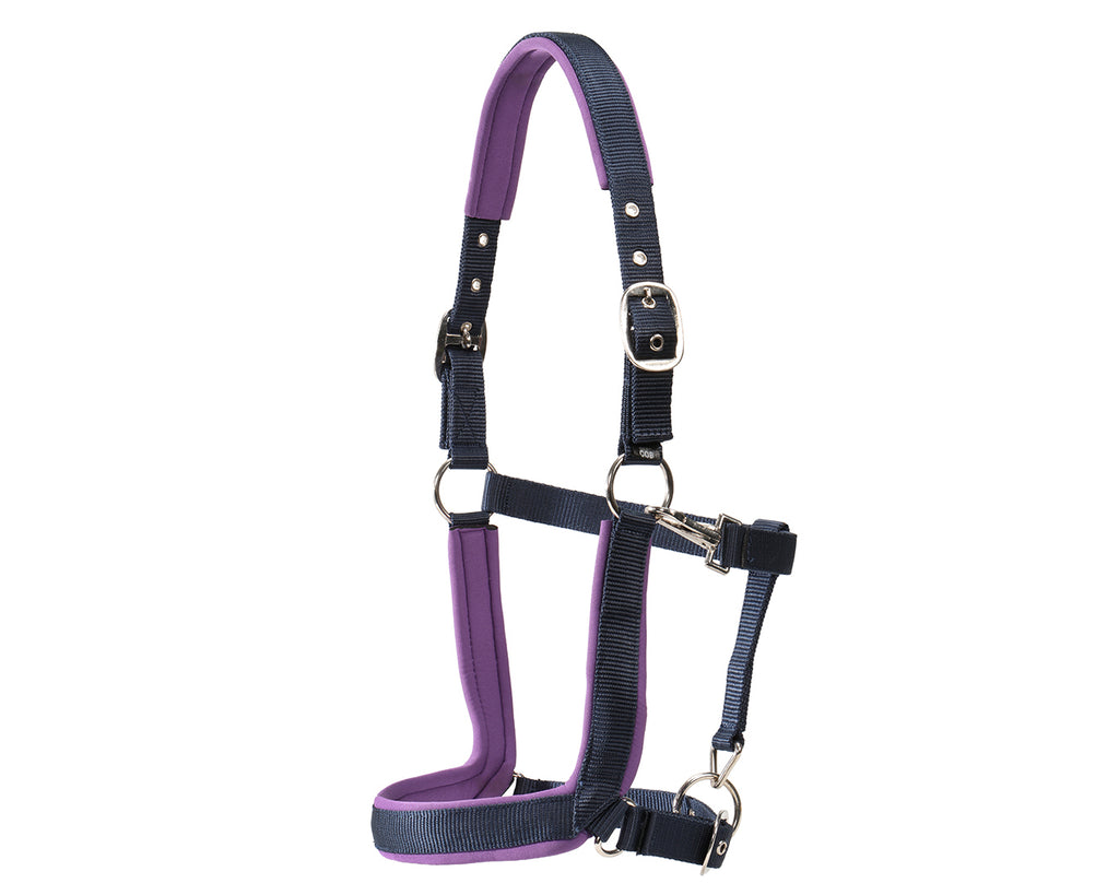 Rancher Neoprene Padded Halter - Navy & Lilac