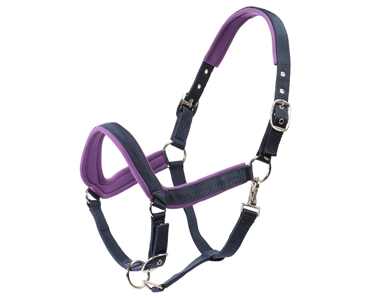 Rancher Neoprene Padded Halter - Navy & Lilac | Halters & Lead Ropes ...