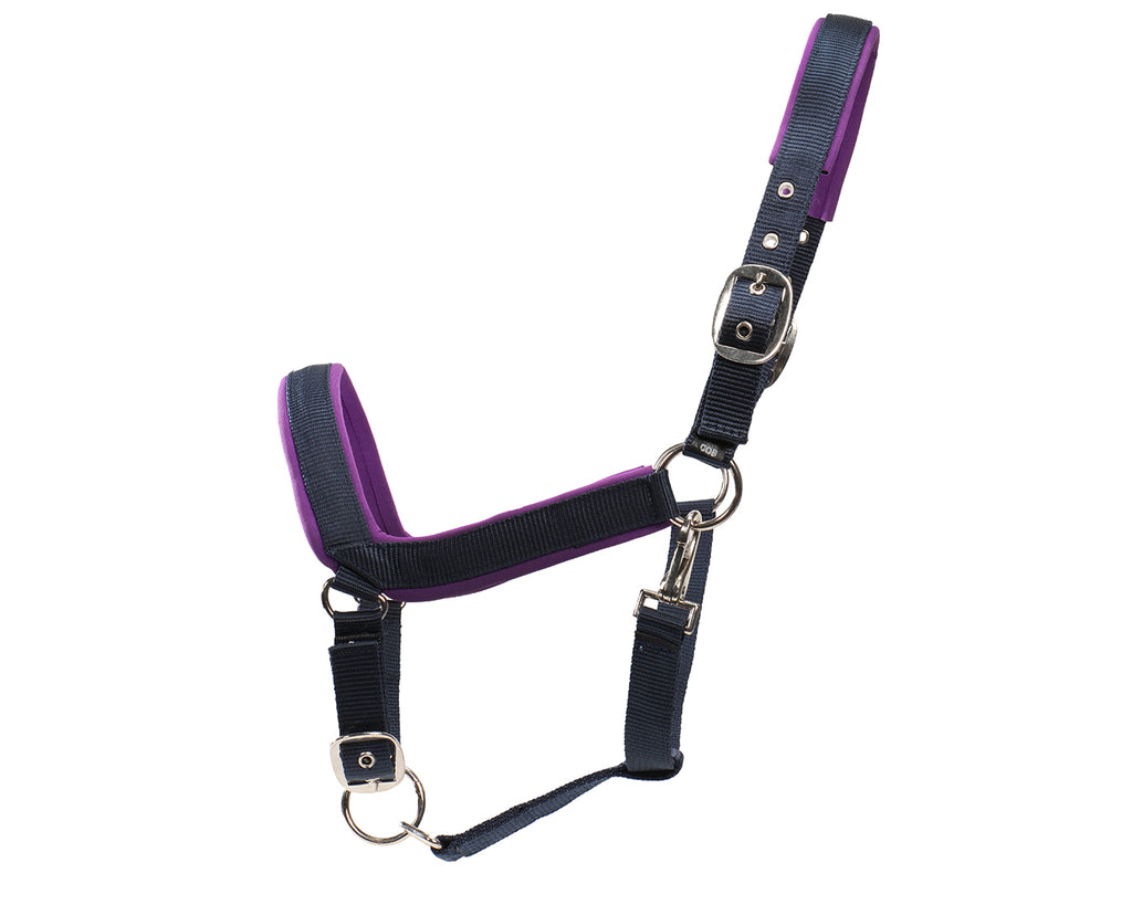 Rancher Neoprene Padded Halter - Navy & Purple
