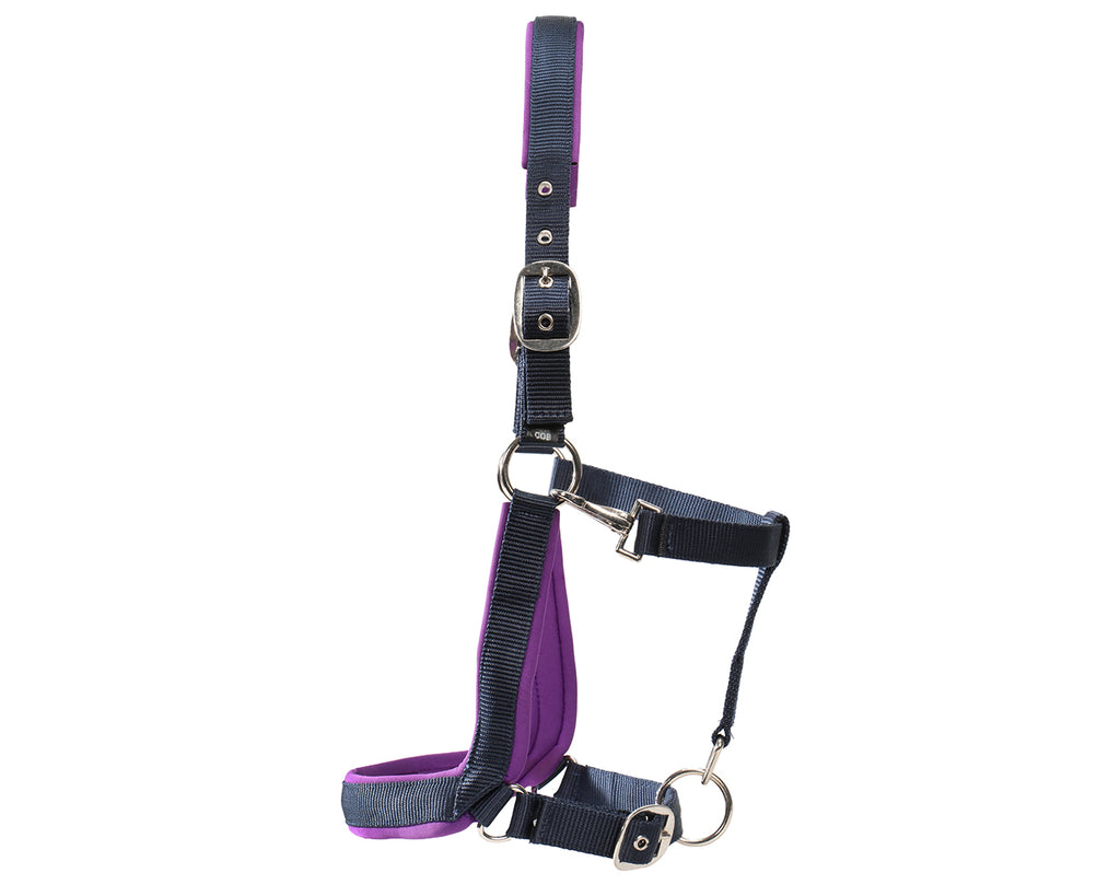 Rancher Neoprene Padded Halter - Navy & Purple