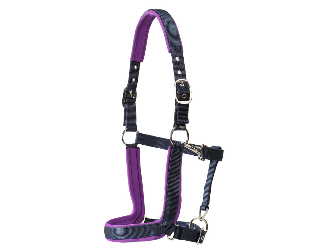 Rancher Neoprene Padded Halter - Navy & Purple