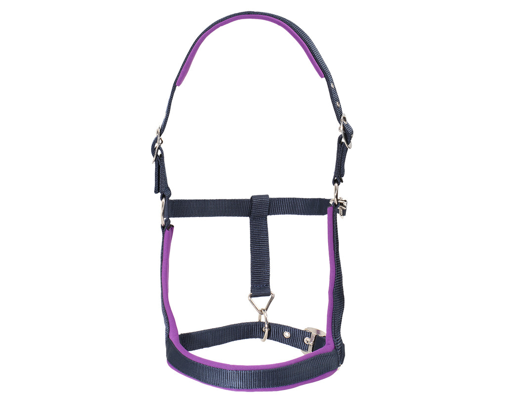 Rancher Neoprene Padded Halter - Navy & Purple