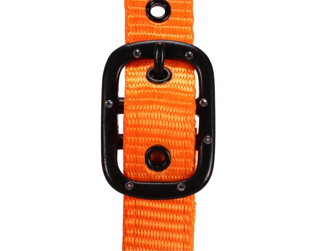 Rancher Halter in Orange w/Black Diamonte Detail