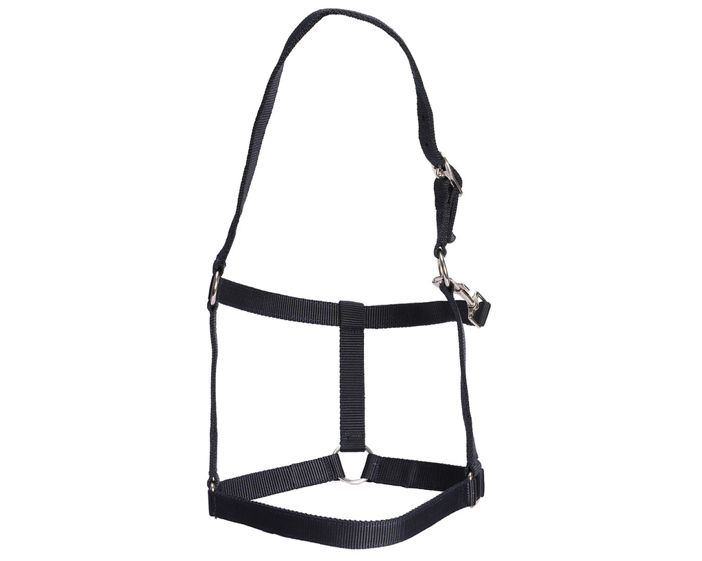 Rancher Stable Halter: Reliable and durable halter made of quality nylon. Designed for everyday use in the stable. Adjustable straps for a customized fit. Shop now at Greg Grant Saddlery.