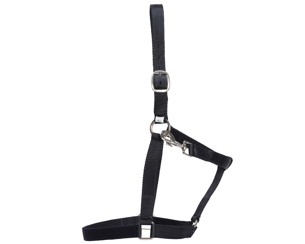 Rancher Stable Halter: Reliable and durable halter made of quality nylon. Designed for everyday use in the stable. Adjustable straps for a customized fit. Shop now at Greg Grant Saddlery.