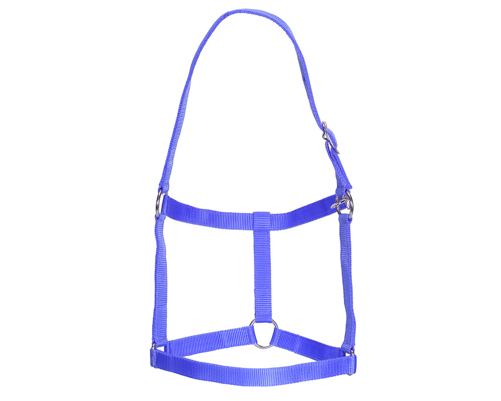 Rancher Stable Halter: Reliable and durable halter made of quality nylon. Designed for everyday use in the stable. Adjustable straps for a customized fit. Shop now at Greg Grant Saddlery.