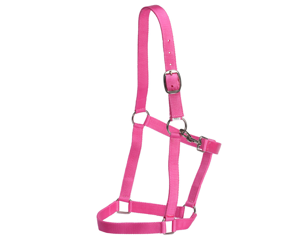 Rancher Stable Halter: Reliable and durable halter made of quality nylon. Designed for everyday use in the stable. Adjustable straps for a customized fit. Shop now at Greg Grant Saddlery.