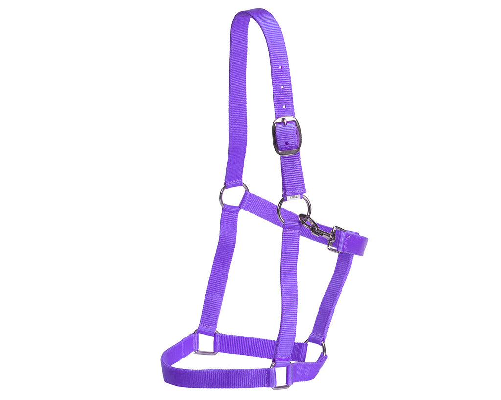 Rancher Stable Halter: Reliable and durable halter made of quality nylon. Designed for everyday use in the stable. Adjustable straps for a customized fit. Shop now at Greg Grant Saddlery.