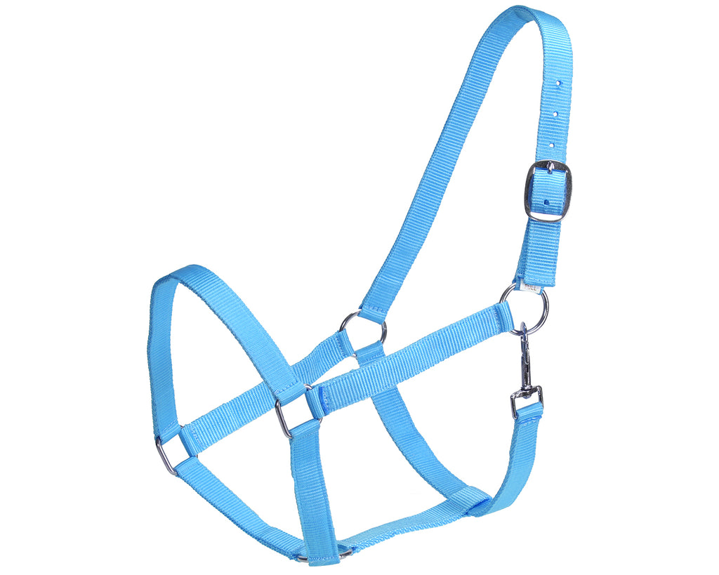 Rancher Stable Halter: Reliable and durable halter made of quality nylon. Designed for everyday use in the stable. Adjustable straps for a customized fit. Shop now at Greg Grant Saddlery.