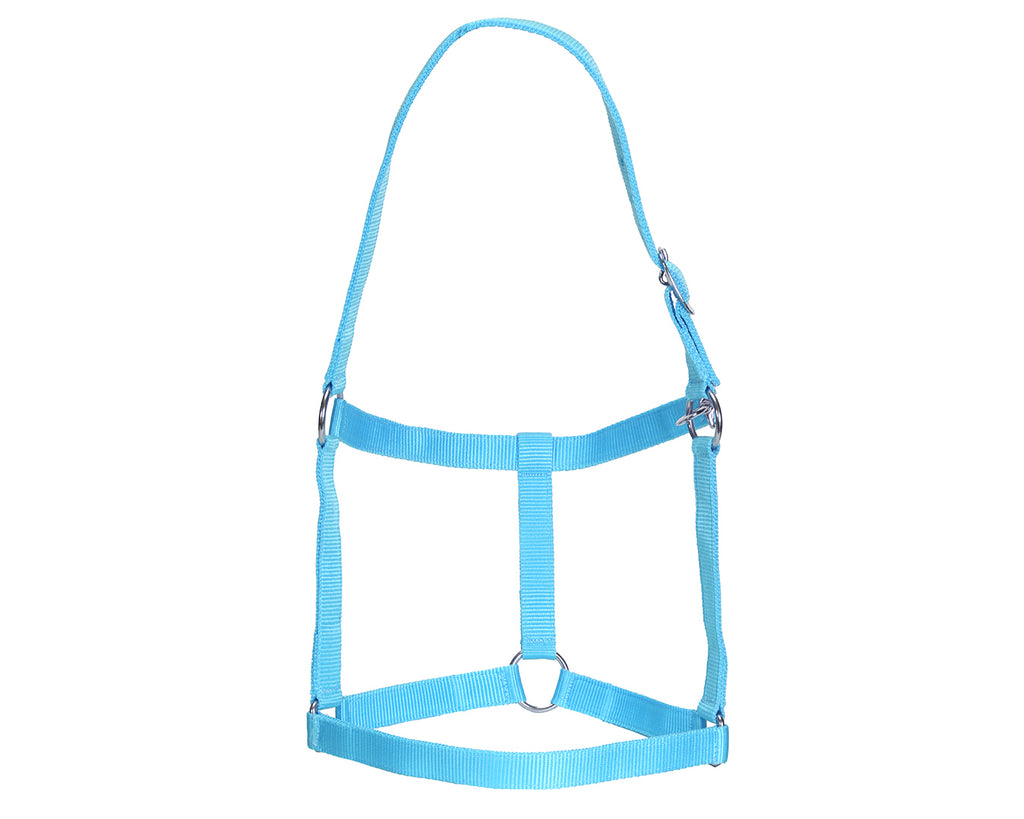 Rancher Stable Halter: Reliable and durable halter made of quality nylon. Designed for everyday use in the stable. Adjustable straps for a customized fit. Shop now at Greg Grant Saddlery.