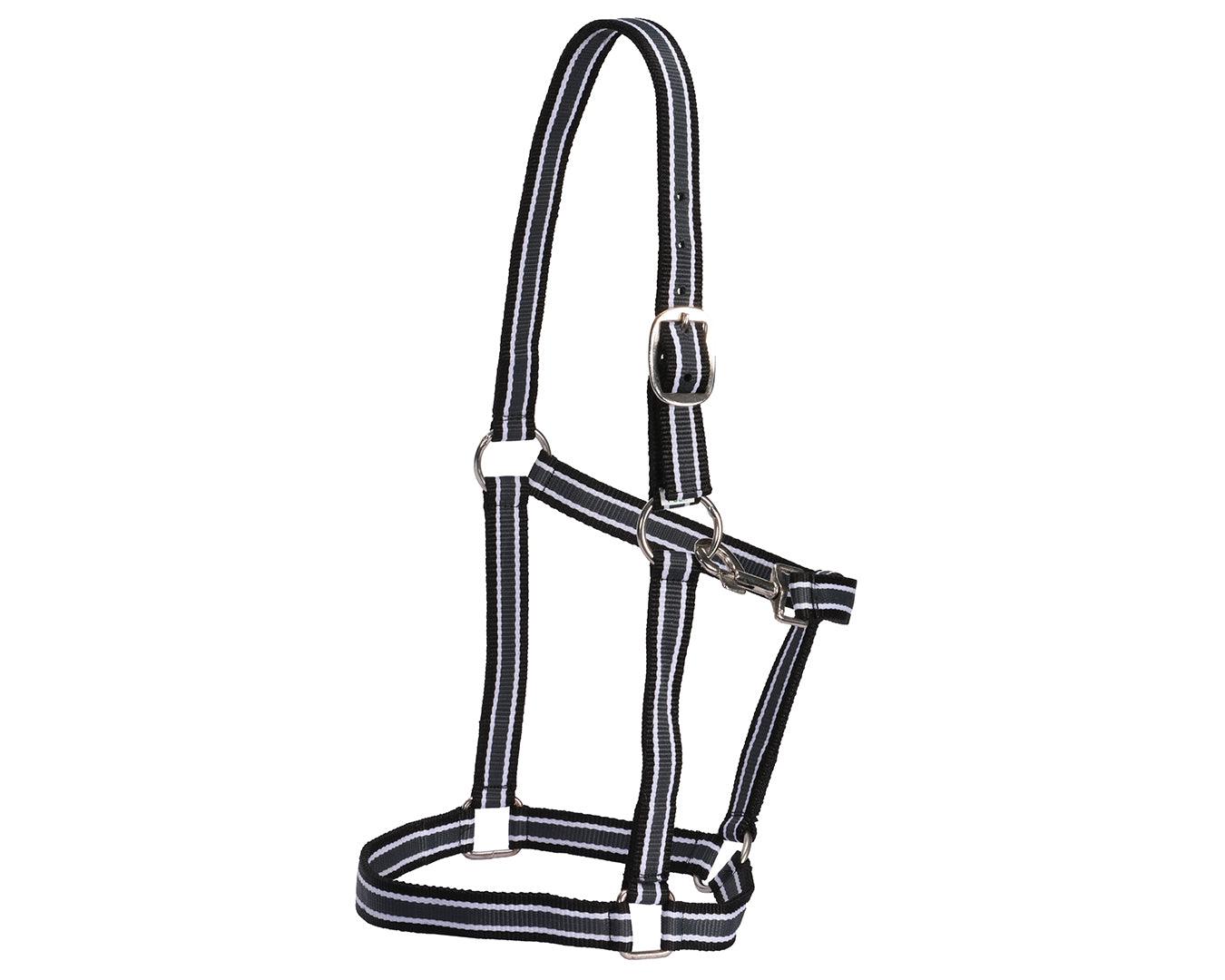 Rancher Striped Stable Nylon Halter | Halters & Lead Ropes – Greg Grant ...